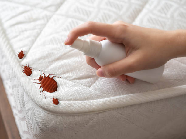 Best Indoor Pest Control  in Port Barrington, IL